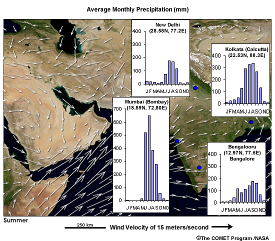 Monthly mean precipitation in the Indian subcontinent