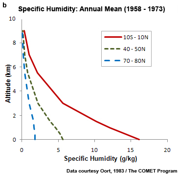 annual mean water vapor content profile