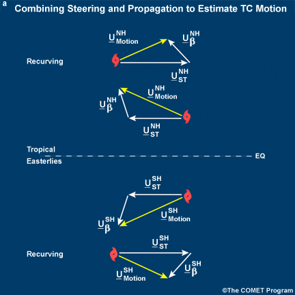 TC motion resulting from steering and propagation 