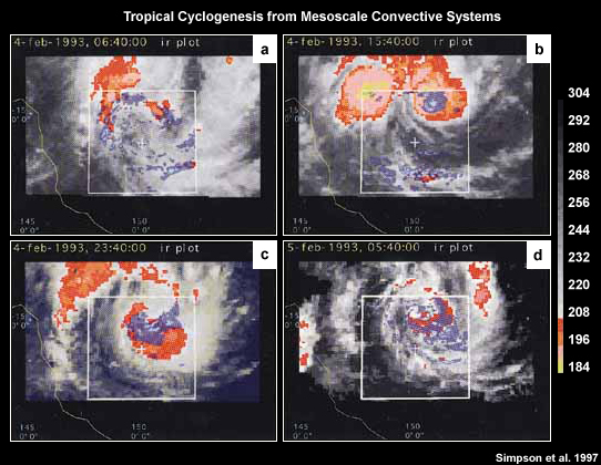 Development of Tropical Cyclone Oliver from the merger of mesoscale convective systems.