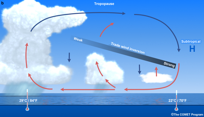 conceptual model of the vertical profile of the trade wind inversion