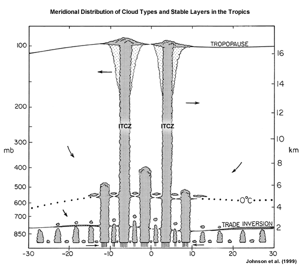Tropical Cloud Type Distribution and Cloud Depth