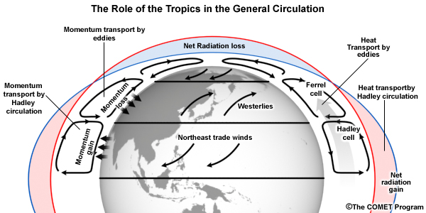 The role of the Tropics in the General Circulation