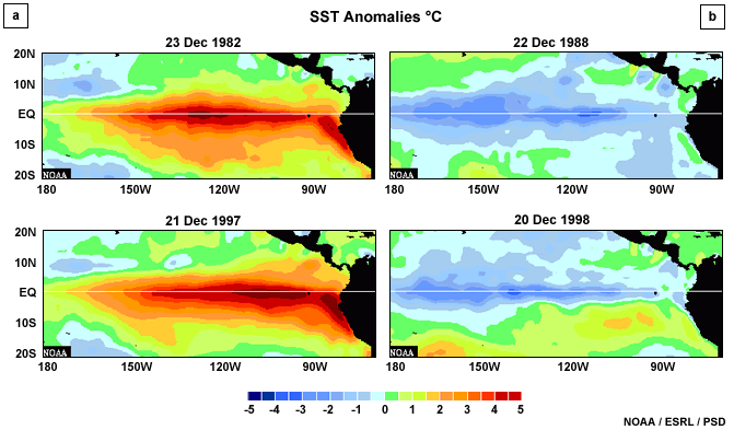 Comparison of SST anomalies during (left) two strong El Niño events and (right) two strong La Niña events