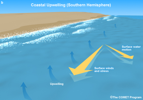 Conceptual image showing coastal upwelling