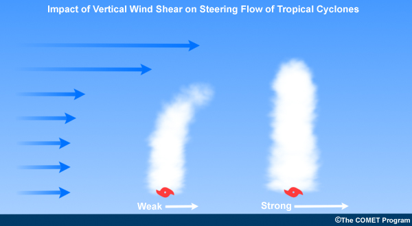 Schematic of the impact of vertical wind shear in the steering flow