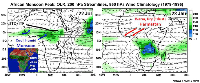 OLR (shaded), 200 hPa streamlines, and 850 hPa wind vectors. Thick, black line marks the Intertropical Discontinuity (ITD) or Intertropical Front (ITF). The inset map shows the Normalized Difference Vegetation Index (NDVI) for 21-31 August 2000.