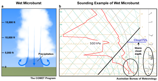 A schematic (left) and sounding (right) for a wet microburst 
