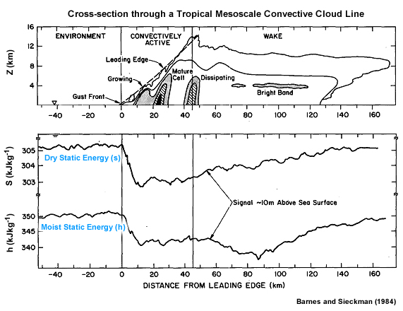 Surface Static energy time series during passage of tropical convective cloud line
