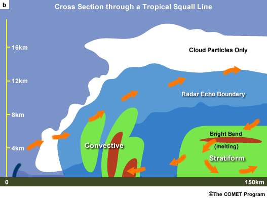 Conceptual model cross-section and radar reflectivity through tropical squall line