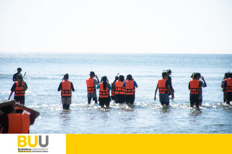 ปกข่าว 740x493 (13)