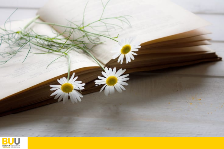 แนะนำหนังสือใหม่ ประจำเดือน ตุลาคม พ.ศ. 2569