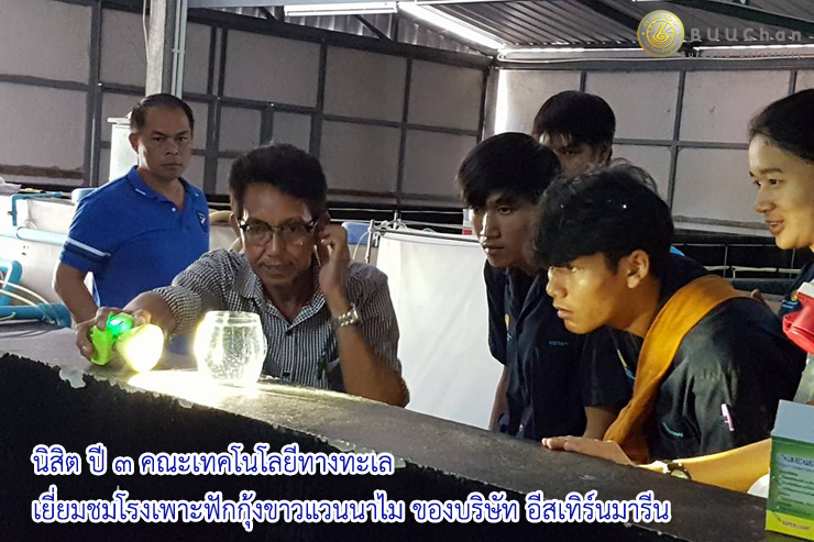 นิสิต ปี ๓ เยี่ยมชมโรงเพาะฟักกุ้งขาวแวนนาไม ของบริษัท อีสเทิร์นมารีน