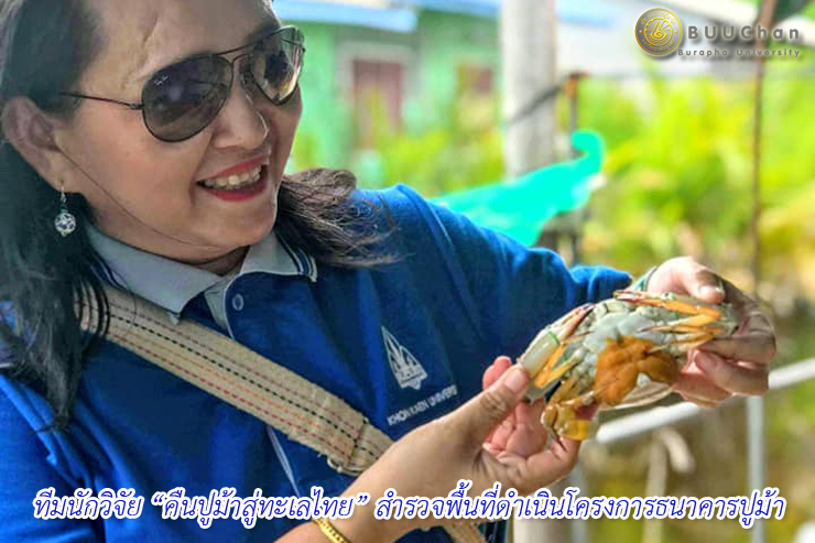 ทีมนักวิจัย “คืนปูม้าสู่ทะเลไทย” สำรวจพื้นที่ดำเนินโครงการธนาคารปูม้า