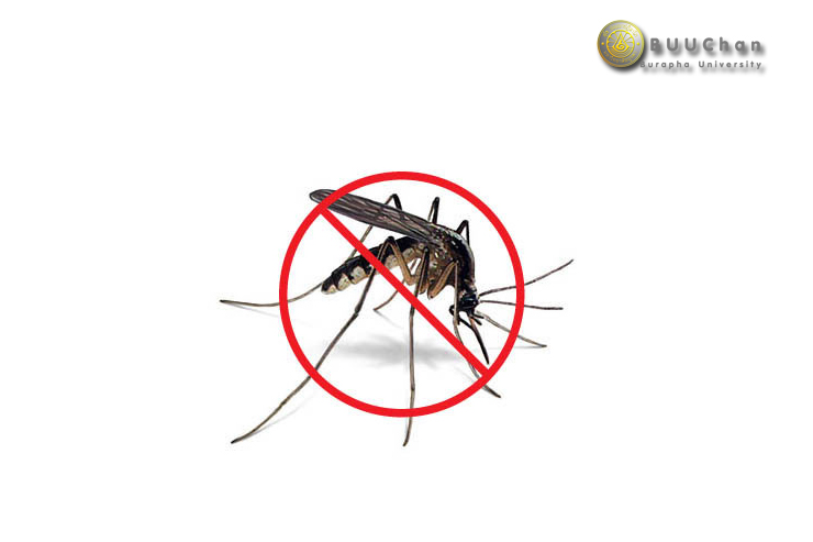 การฉีดพ่นหมอกควัน กำจัดยุงลาย  ในวันศุกร์ที่ ๕ ก.ค.๖๒