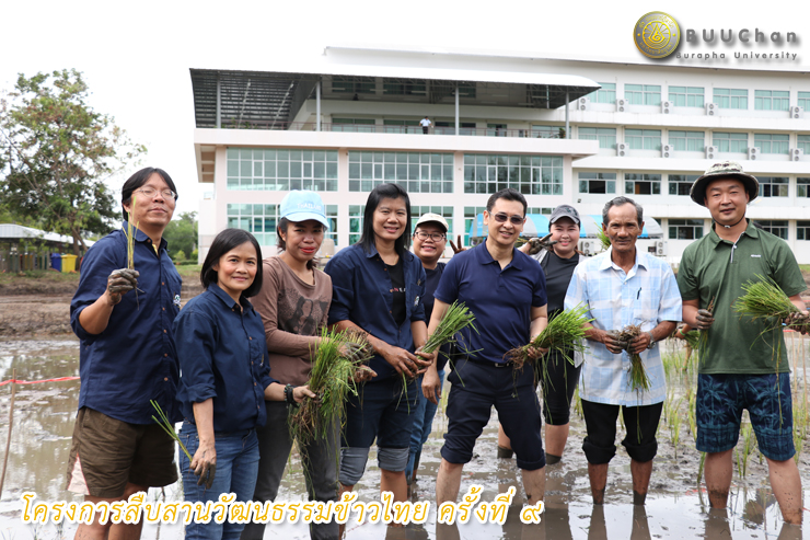 โครงการสืบสานวัฒนธรรมข้าวไทย ครั้งที่ ๙
