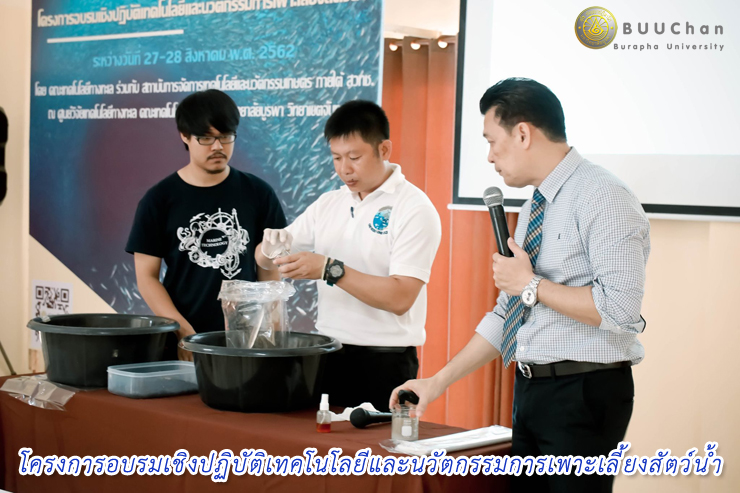 โครงการอบรมเชิงปฏิบัติเทคโนโลยีและนวัตกรรมการเพาะเลี้ยงสัตว์น้ำ