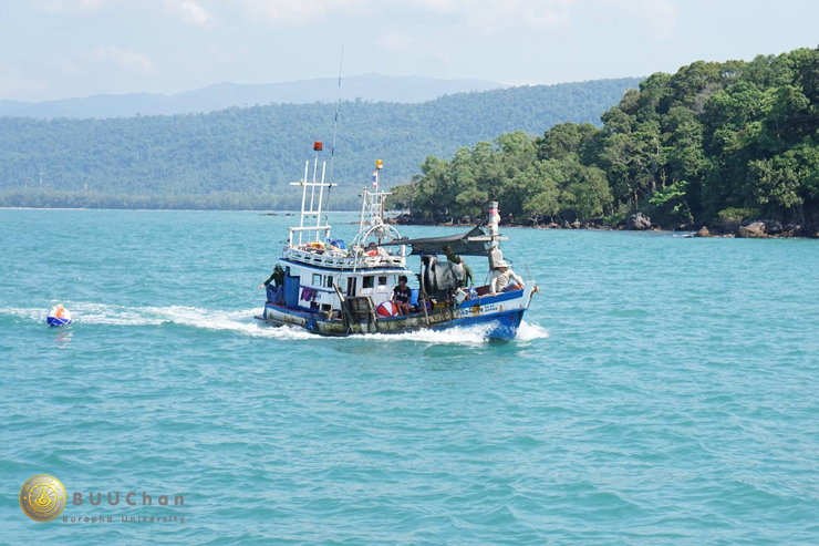 ร่วมจัดโครงการ การพัฒนารูปแบบหญ้าทะเลเทียมฯ