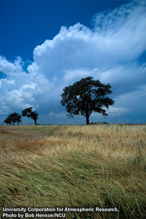 photo of wind blowing prairie grasses photo of wind blowing prairie grasses