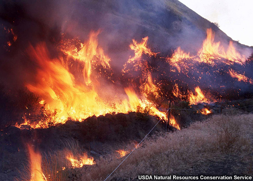 image of fire burning intensely image of fire burning intensely