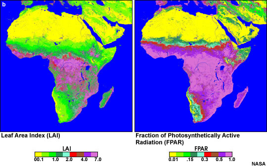 LAI and FPAR for Africa, December 2000
