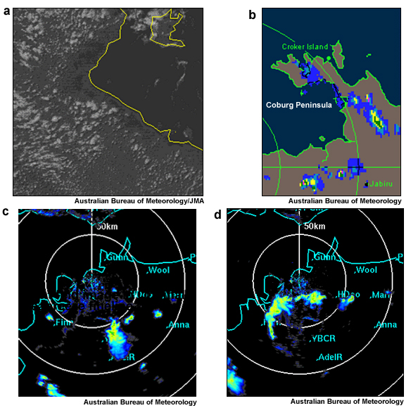 IR satellite, radar reflectivity,