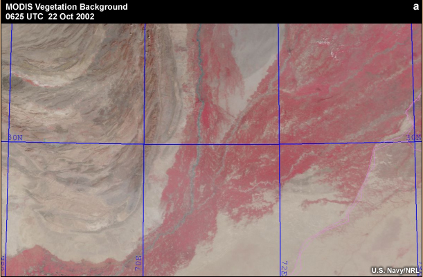 MODIS vegetation background