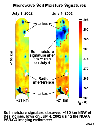 Soil moisture trends