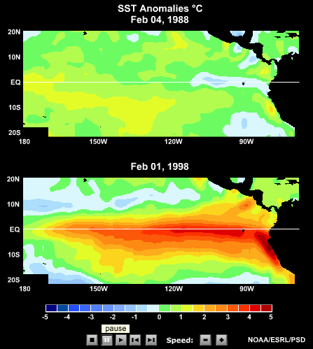 SST Animation of Two Strong La Nina Episodes (1988-89 and 1998-99)
